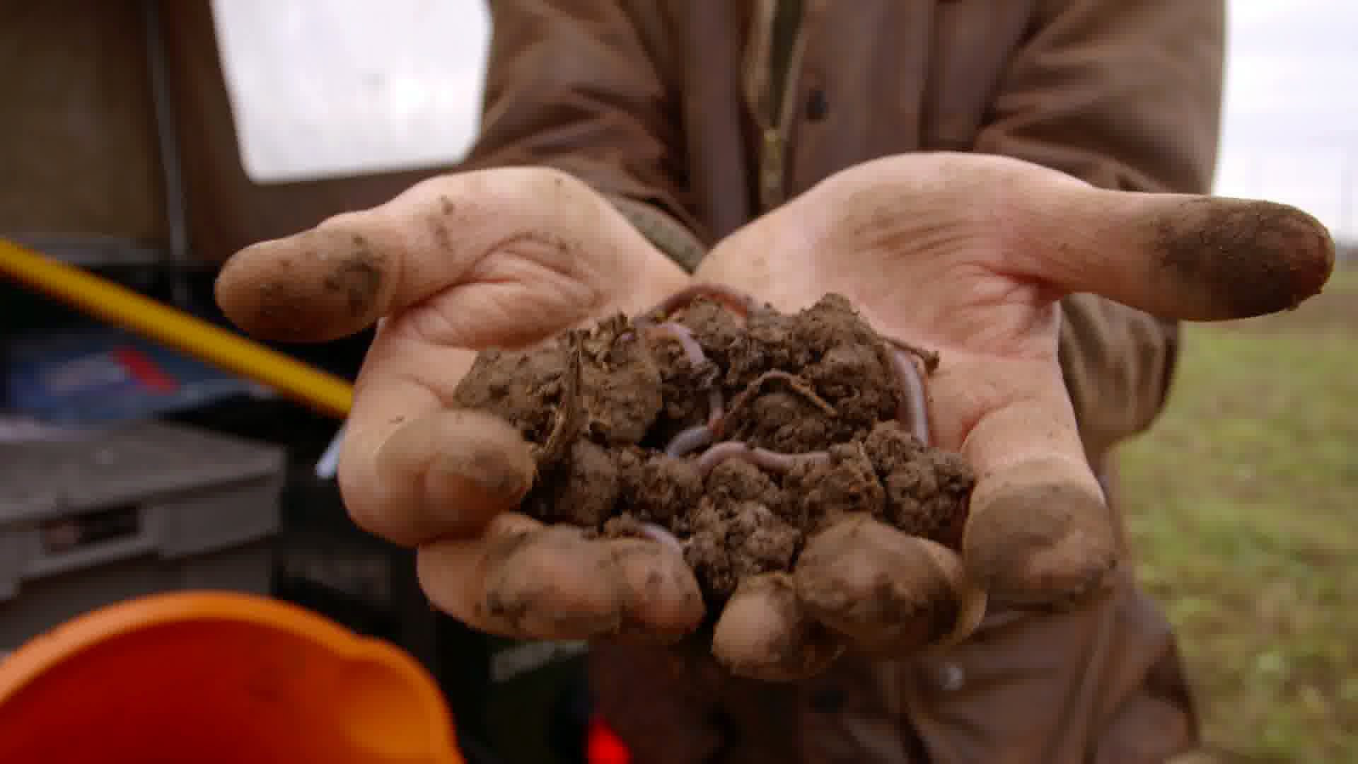 Deep, Down and Dirty: The Science of Soil