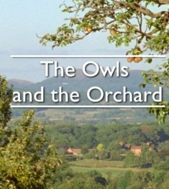 The Owls and the Orchard