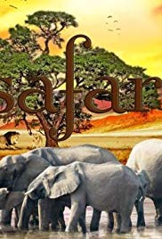 Safari: An Extraordinary Adventure