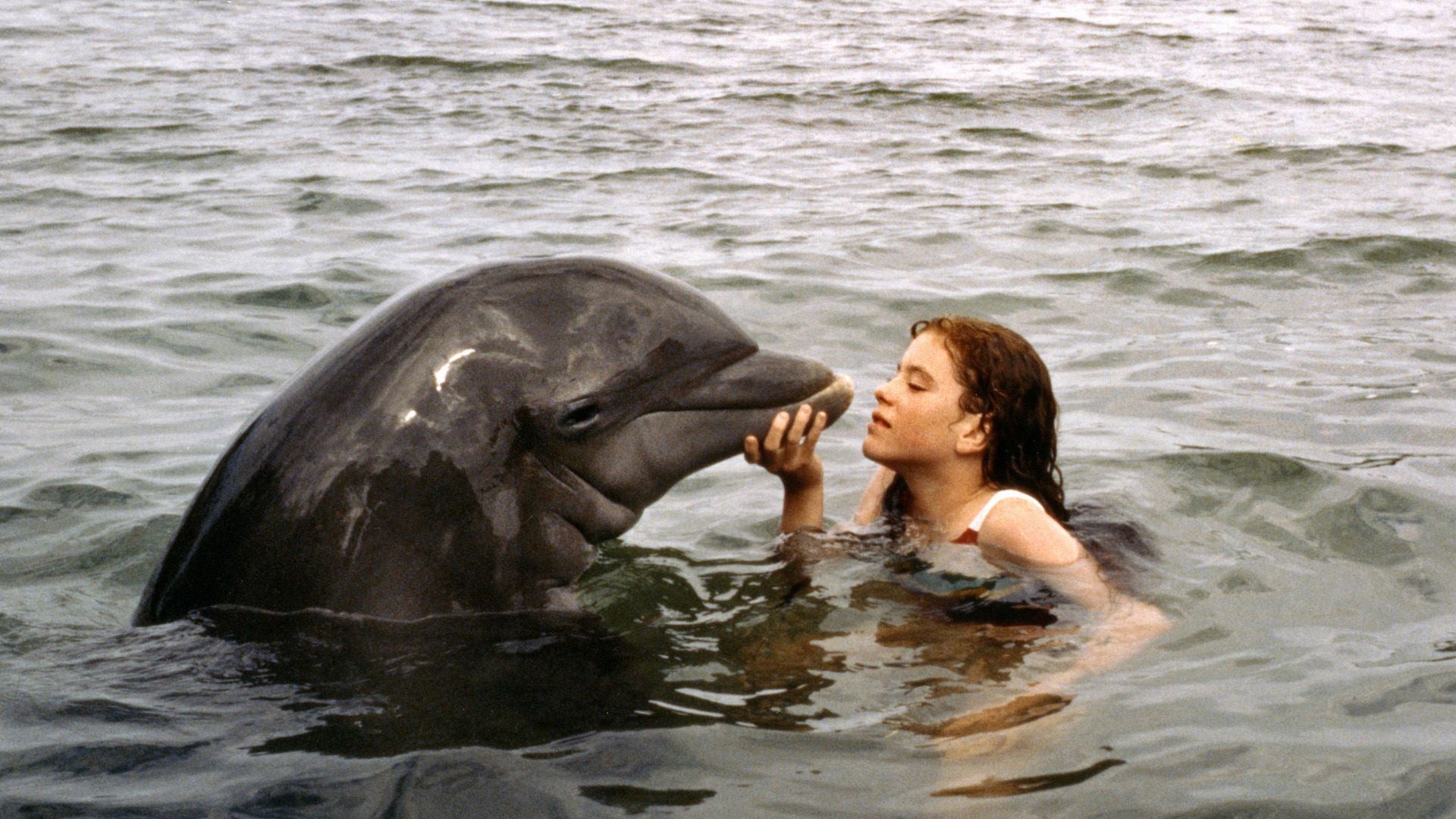 La grenouille et la baleine