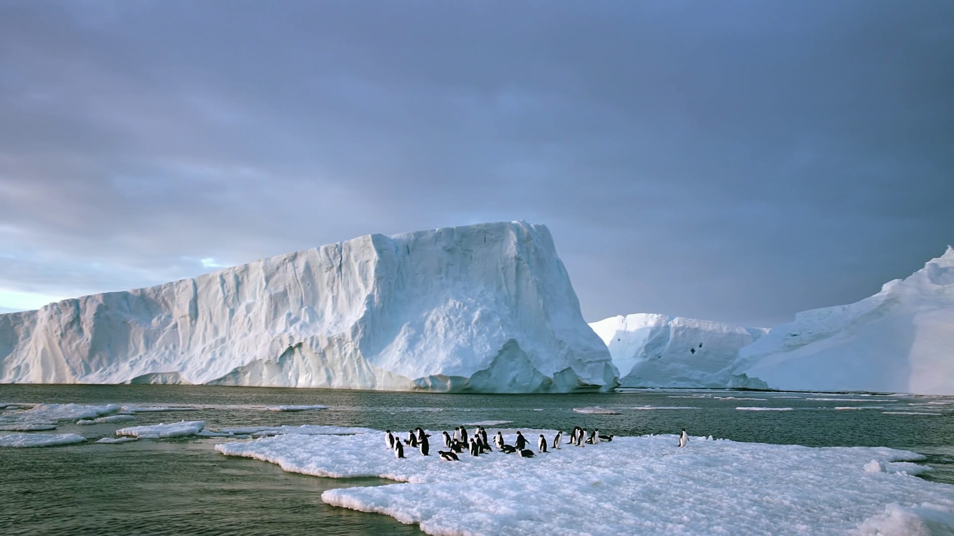 Antarctica 3D: On the Edge