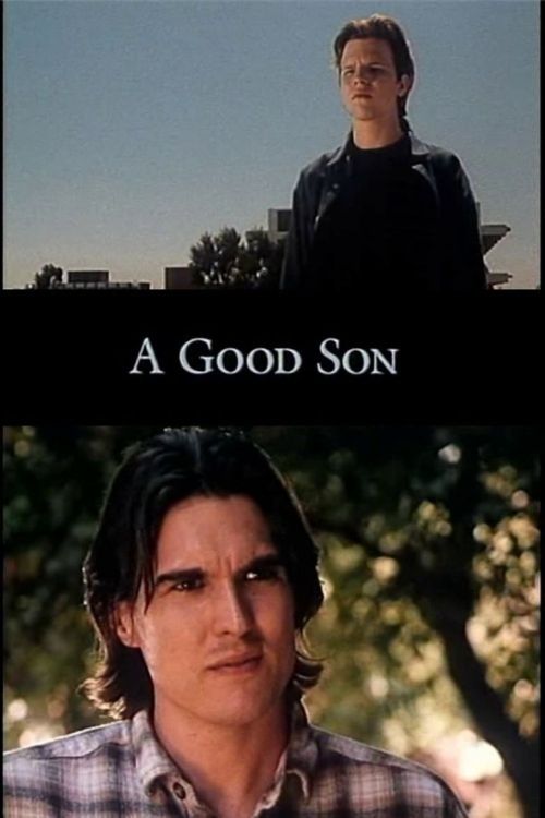 A Good Son