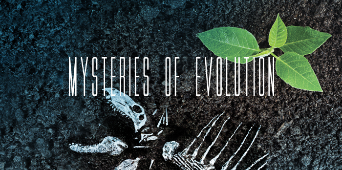 Mysteries of Evolution
