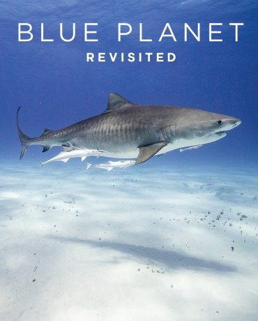 Blue Planet Revisited