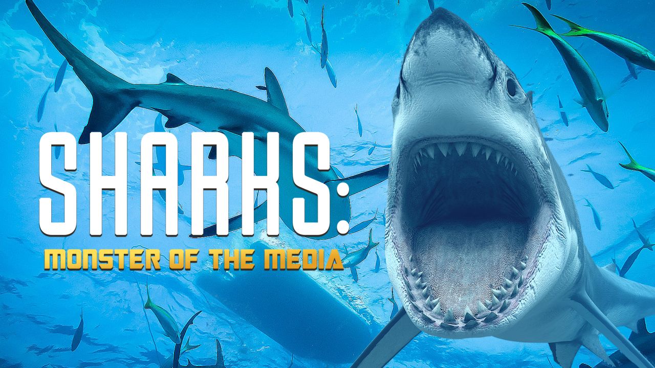 Sharks: Monster Of The Media