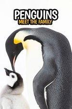 Penguins: Meet the Family