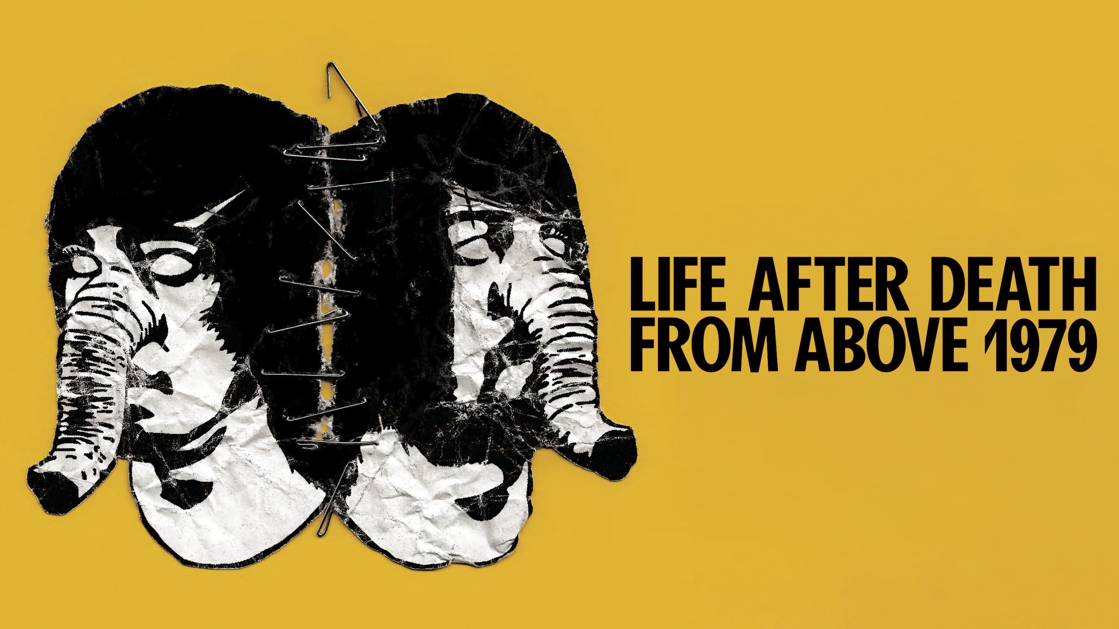 Life After Death from Above 1979