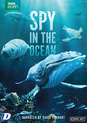 Spy in the Ocean