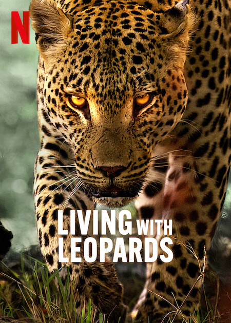 Living with Leopards