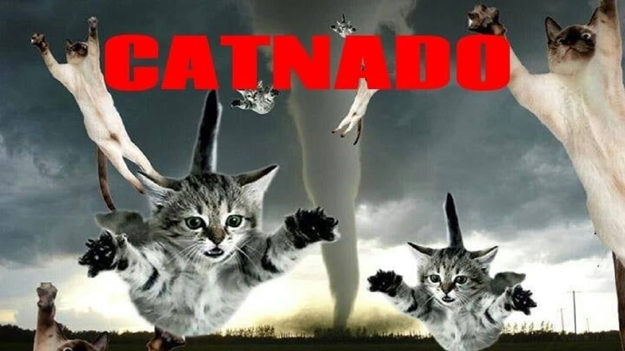 Catnado