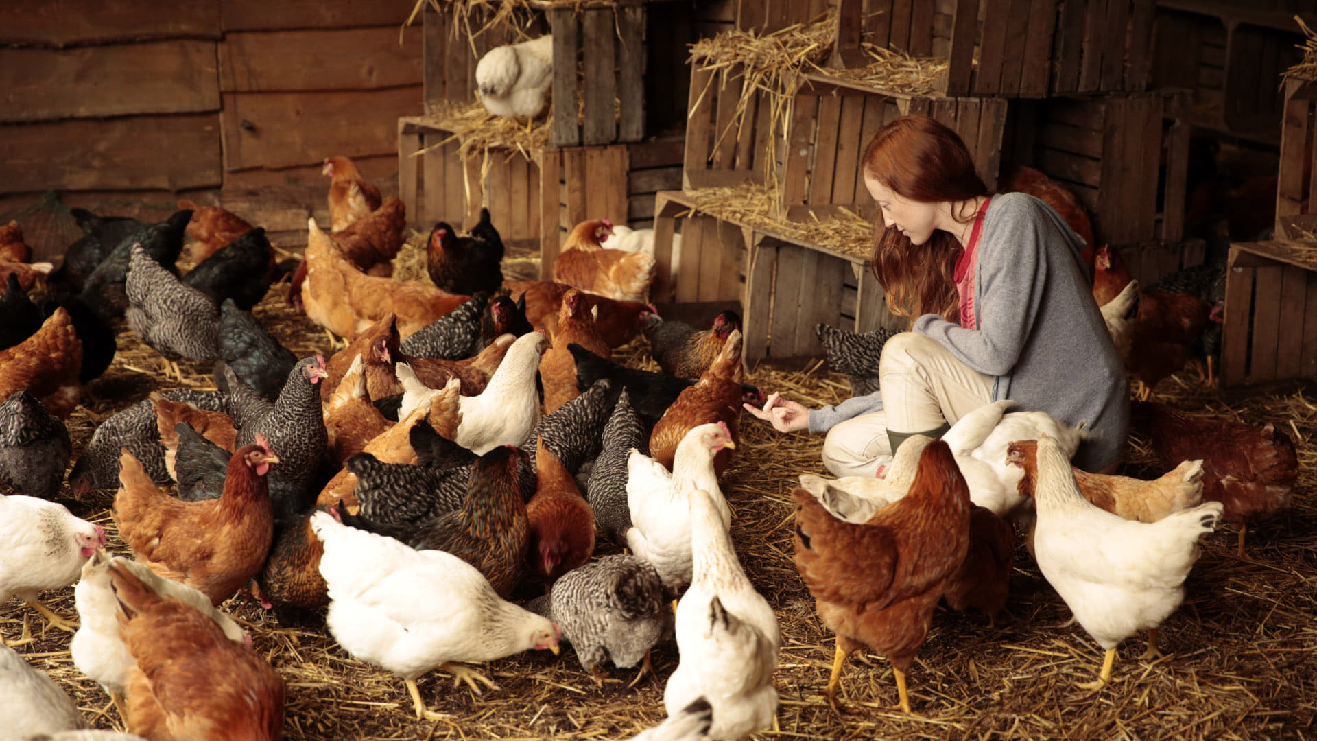 Au fil des saisons