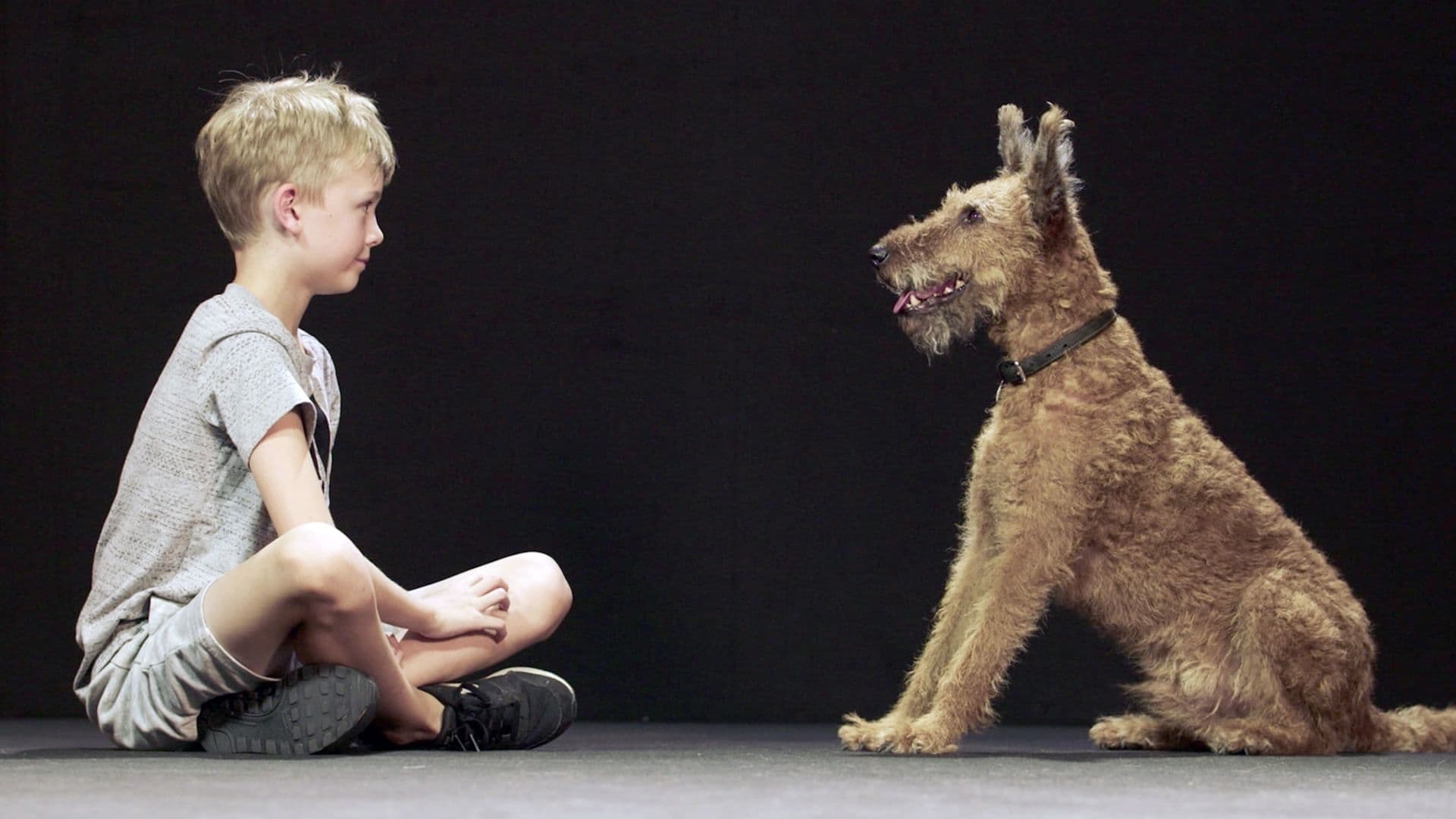 Hund und Mensch: Das Geheimnis einer Freundschaft