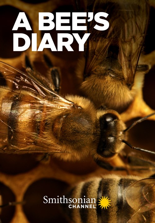 A Bee's Diary