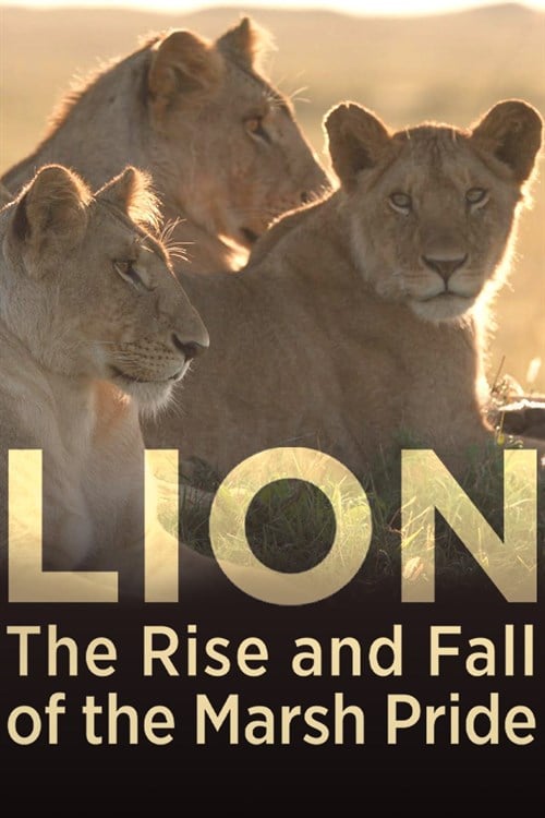 Lion: The Rise and Fall of the Marsh Pride