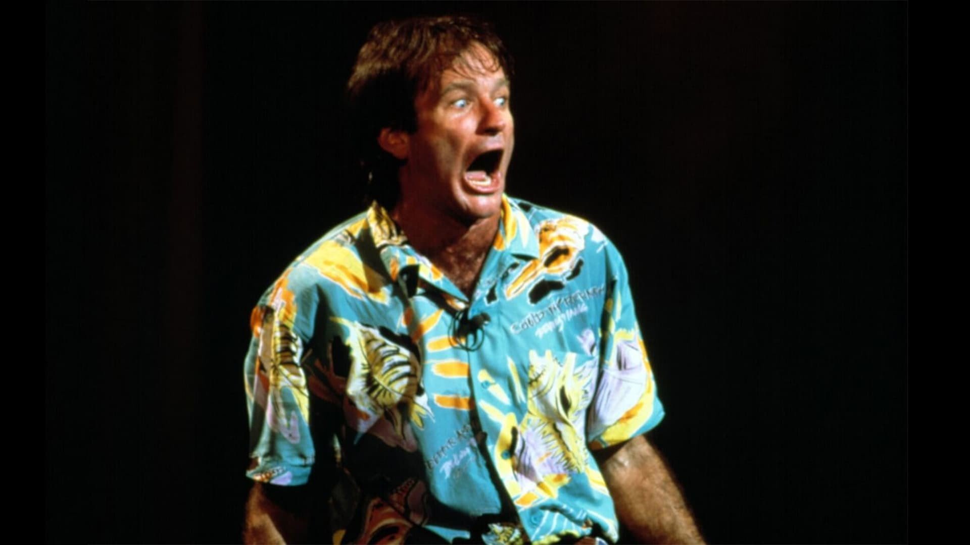 Robin Williams: Live at the Met
