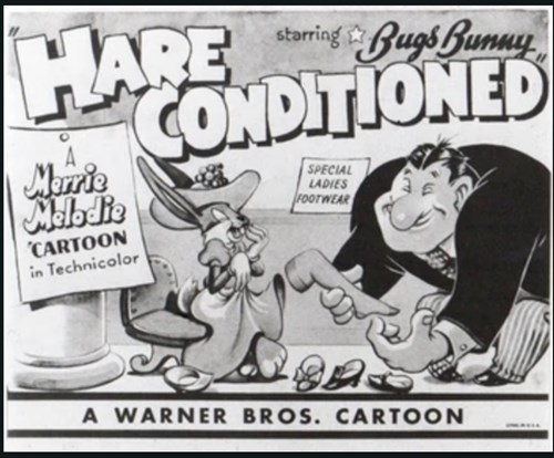 Hare Conditioned
