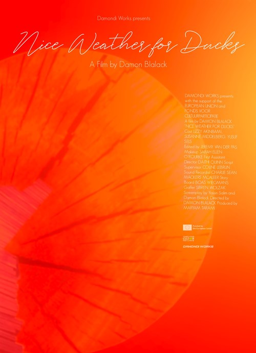 Nice Weather for Ducks