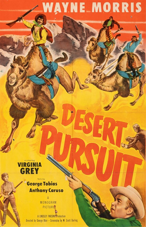 Desert Pursuit