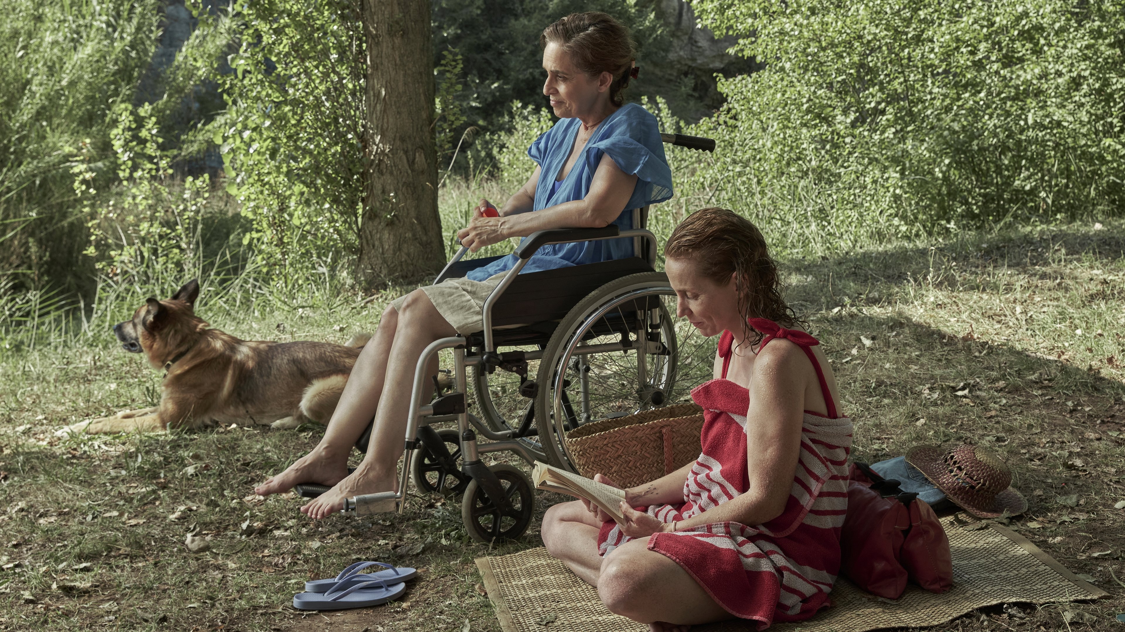 Los pequeños amores