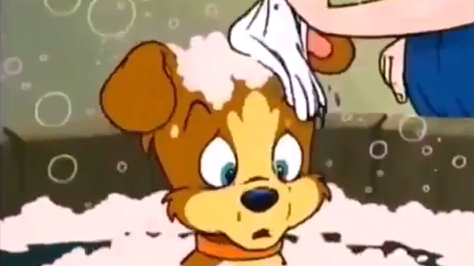 Bobo und die Hasenbande 2 - Abenteuer im Wald