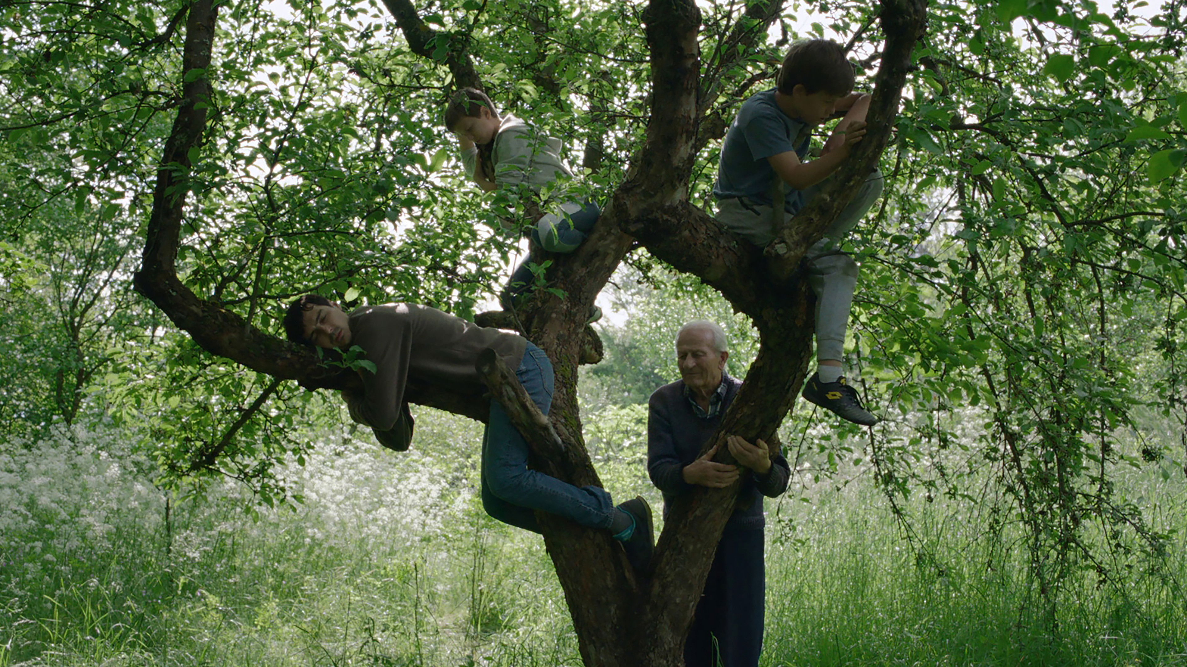 Vetre, pricaj sa mnom