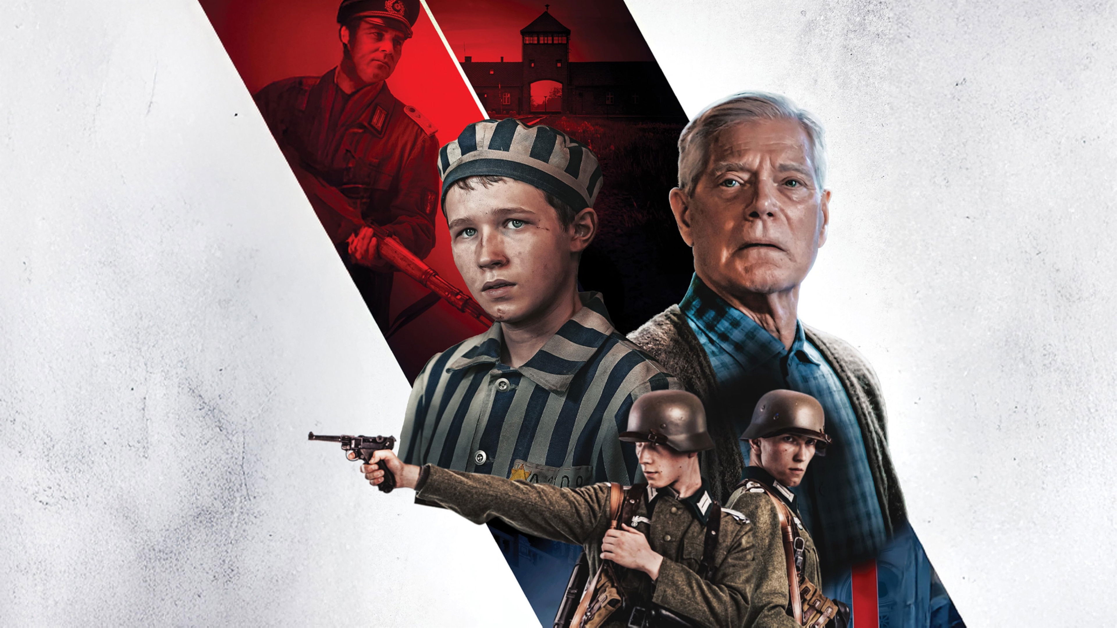 Avenue of the Giants