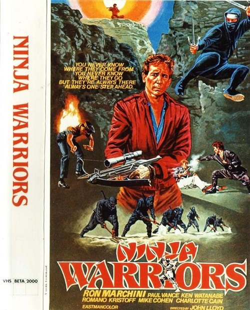 Ninja Warriors
