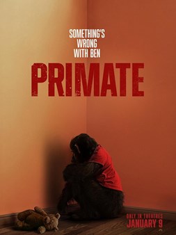 Najgledaniji filmovi u SAD