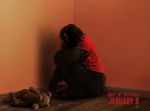 Najgledaniji filmovi u SAD