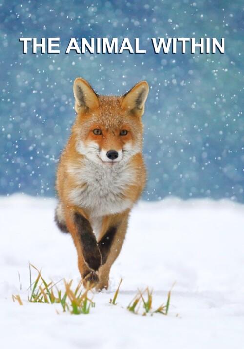 The Animal Within