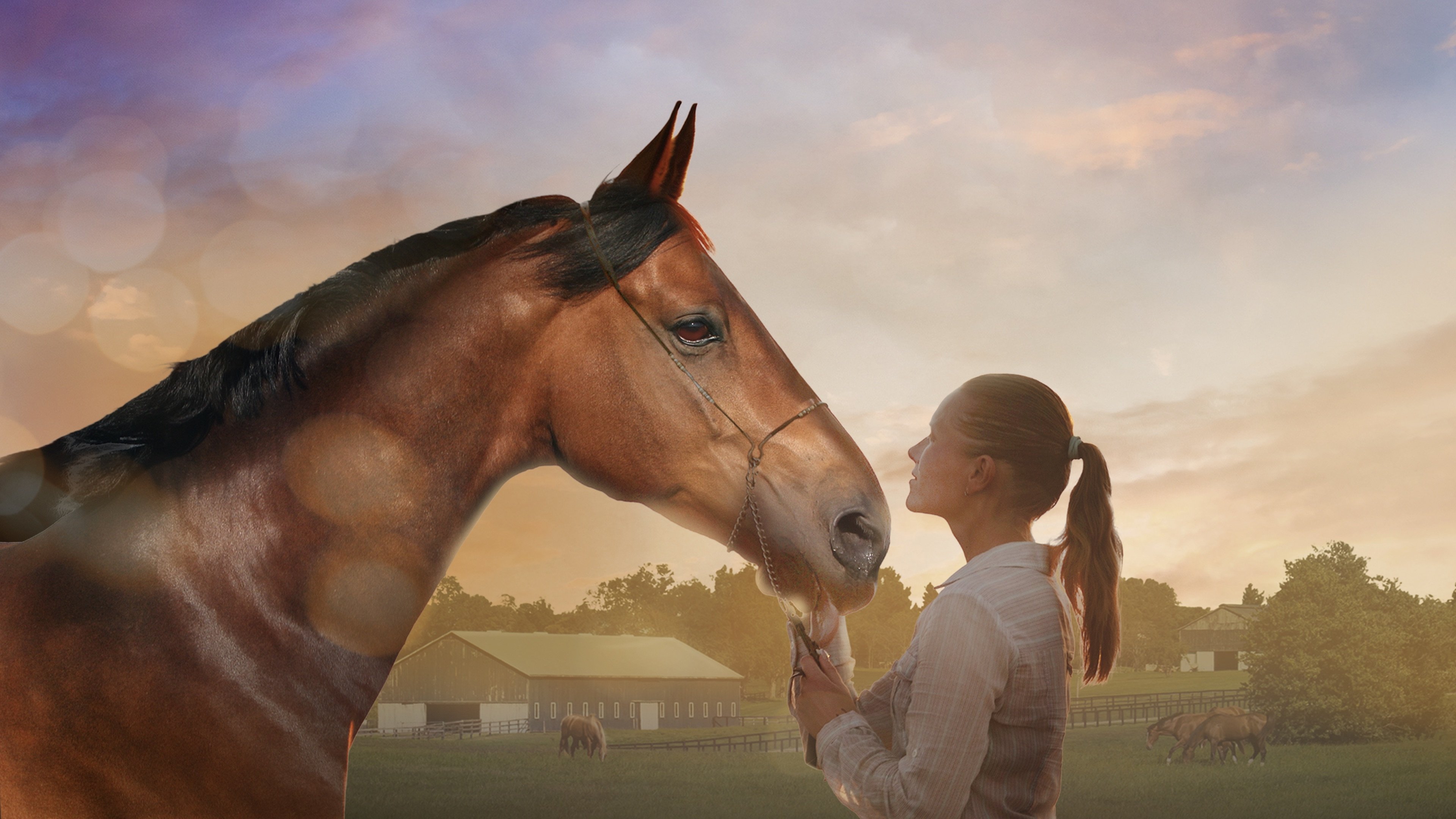 A Horse Tail