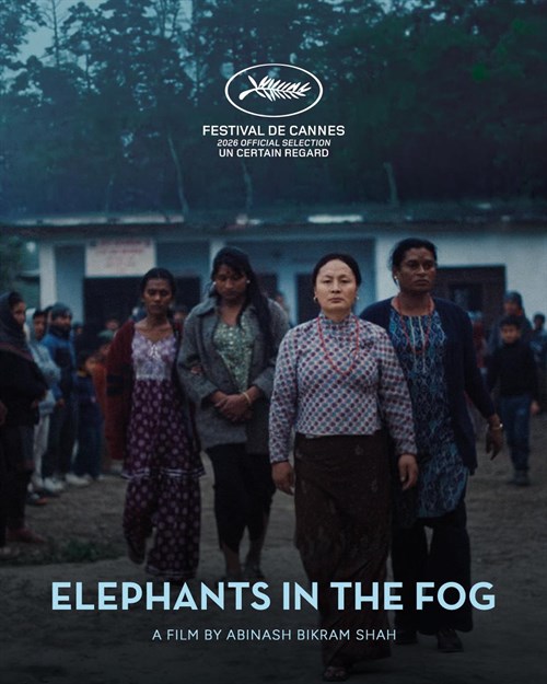 Elephants in the Fog