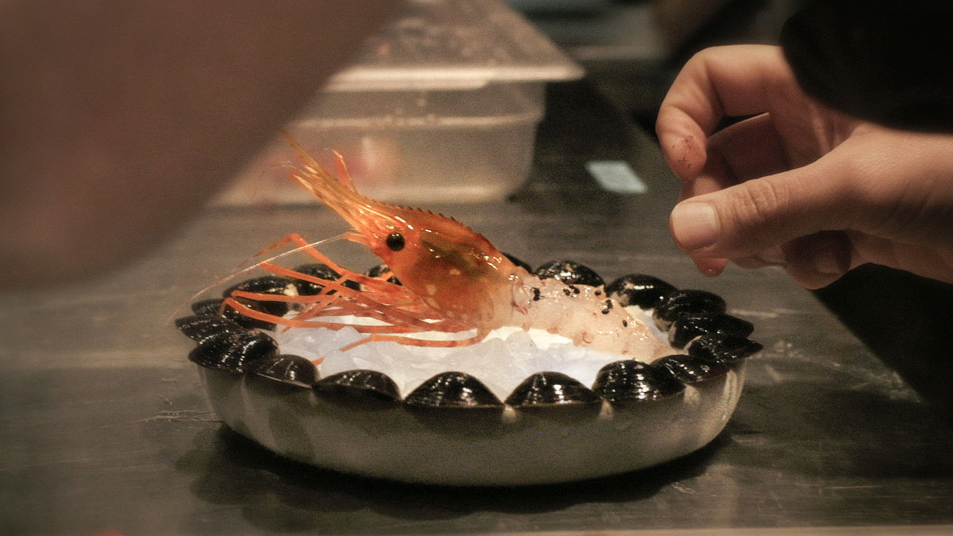 Ants on a Shrimp