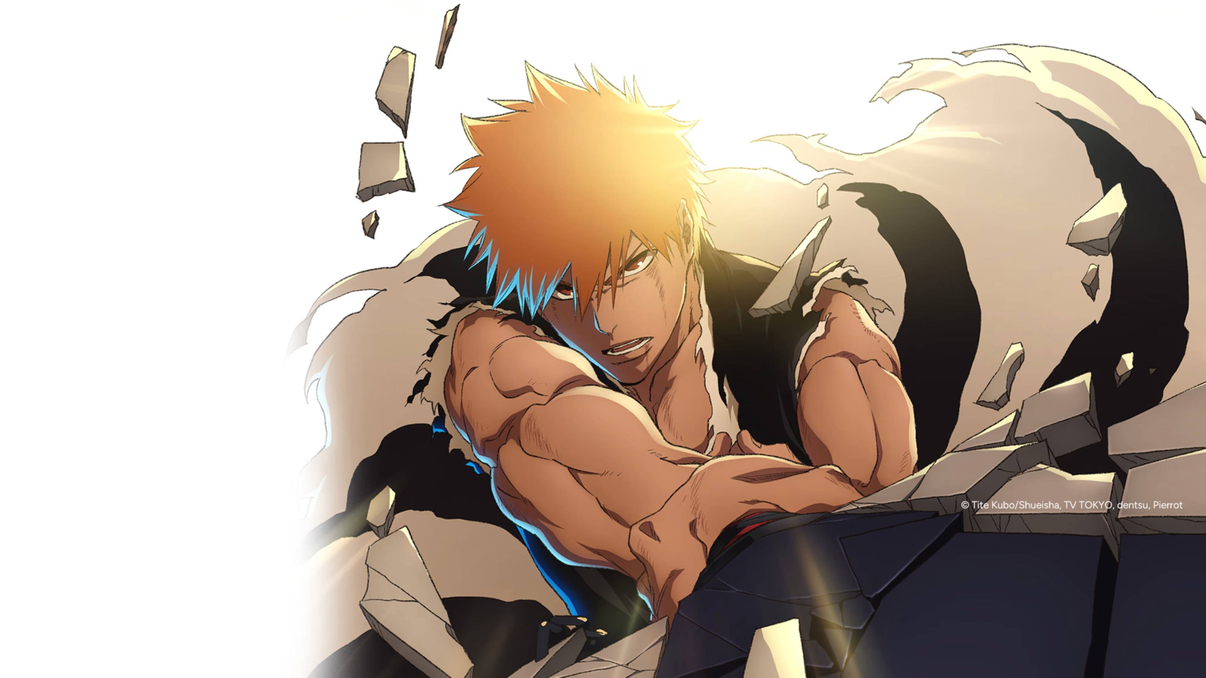 BLEACH: Sennen Kessen-hen - Kashin-tan