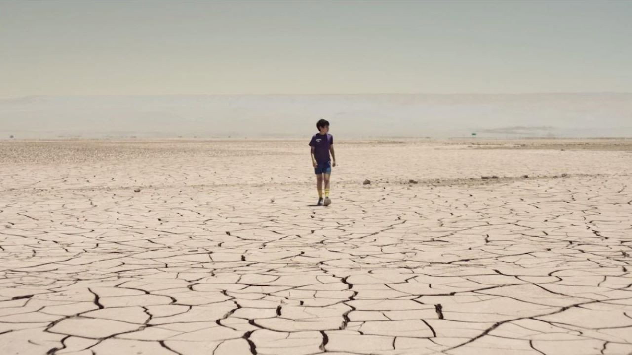 Estrellas del desierto