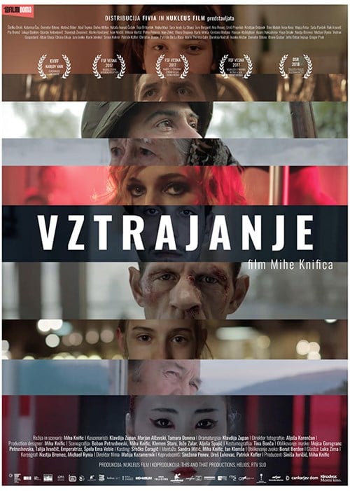 Vztrajanje