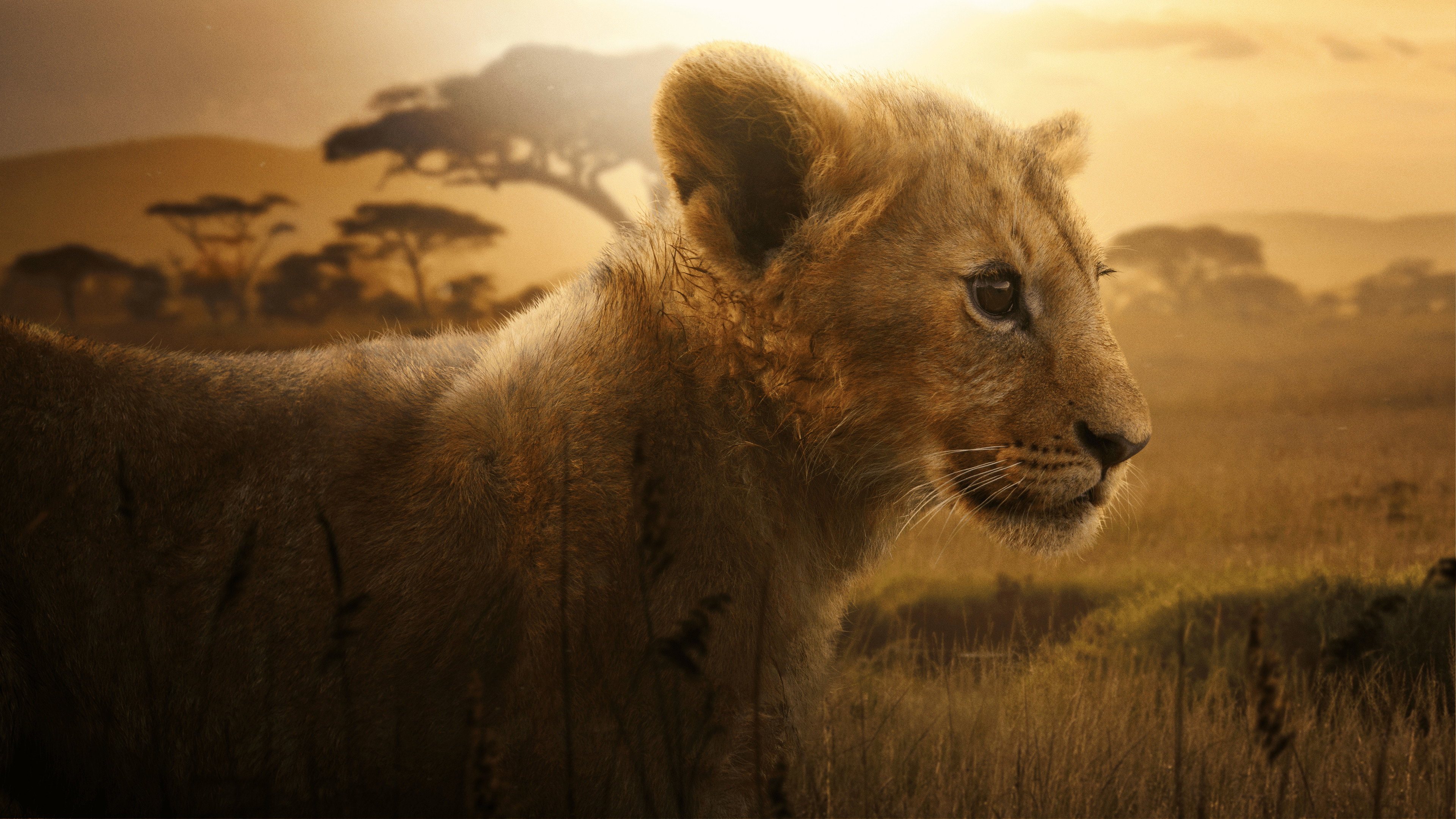 Lion