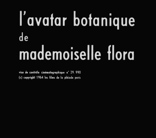 L'avatar botanique de Mlle Flora