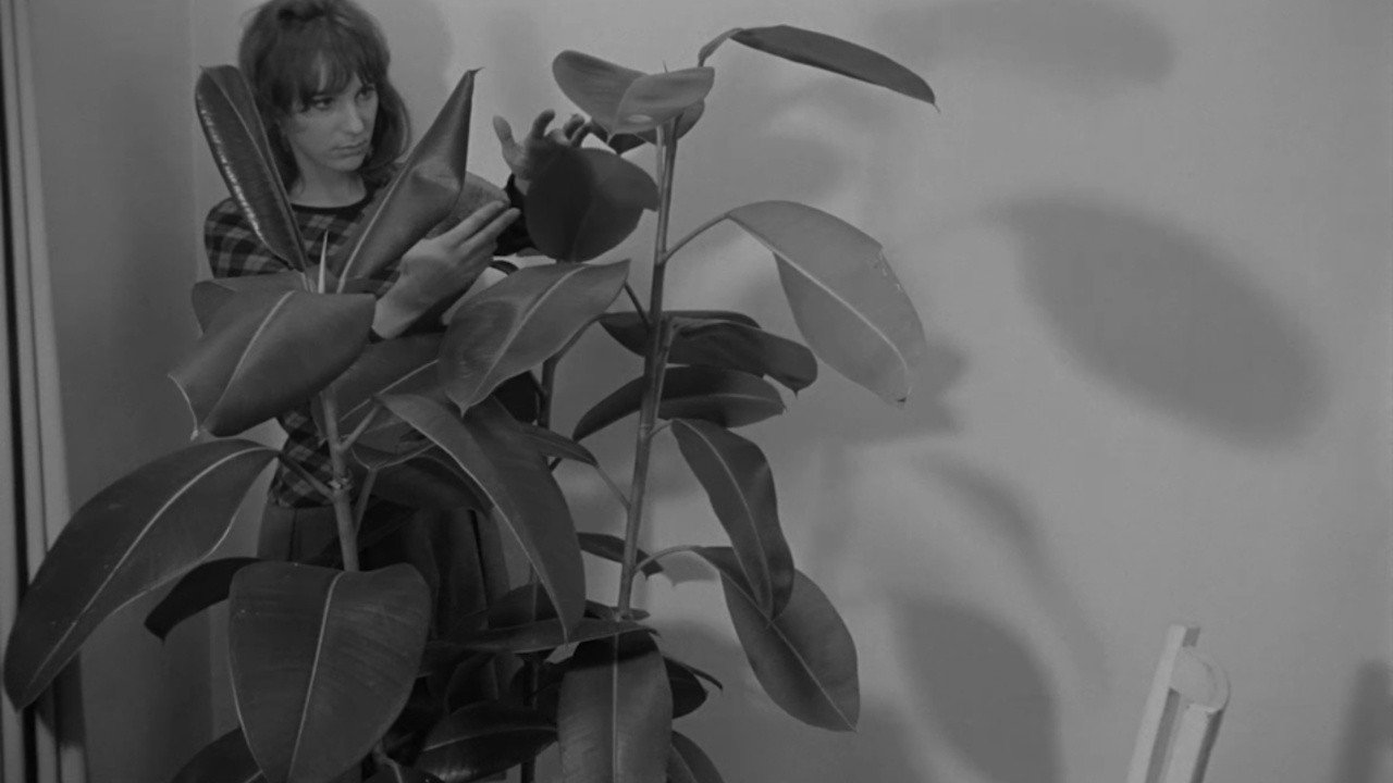 L'avatar botanique de Mlle Flora