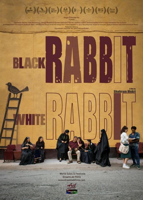 Black Rabbit, White Rabbit