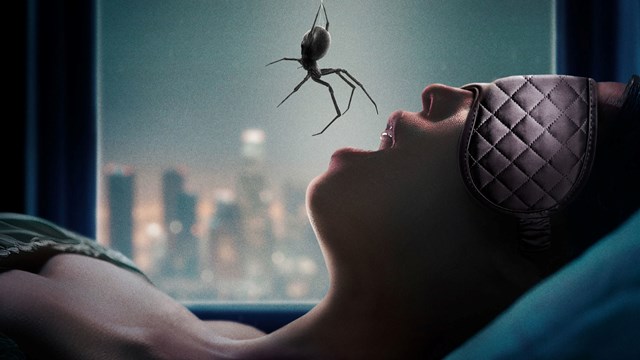 Crawlers - Paukolika treščina